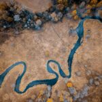 How Colossal Maps Evolutionary Pathways